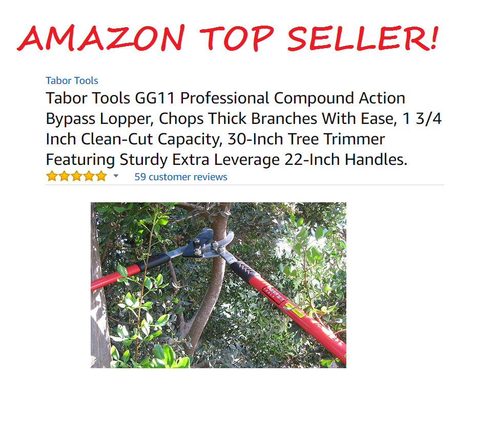 TABOR TOOLS GG11A Professional 30" Compound Action Bypass Lopper