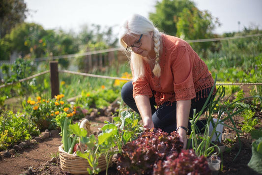 How to Start a Home Garden: Tips, Tricks, and the Best Tools for getting the job done
