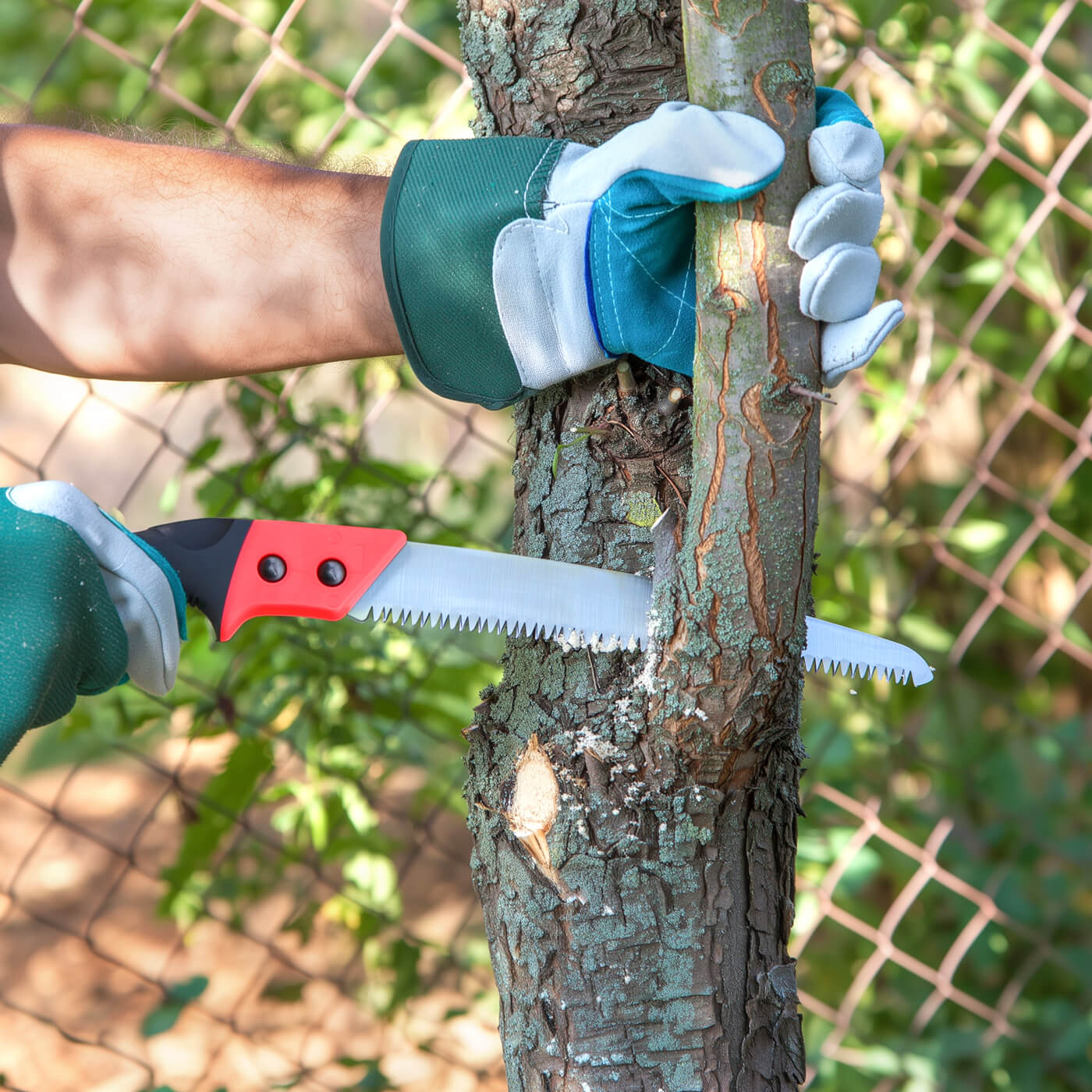 Pruning Saws