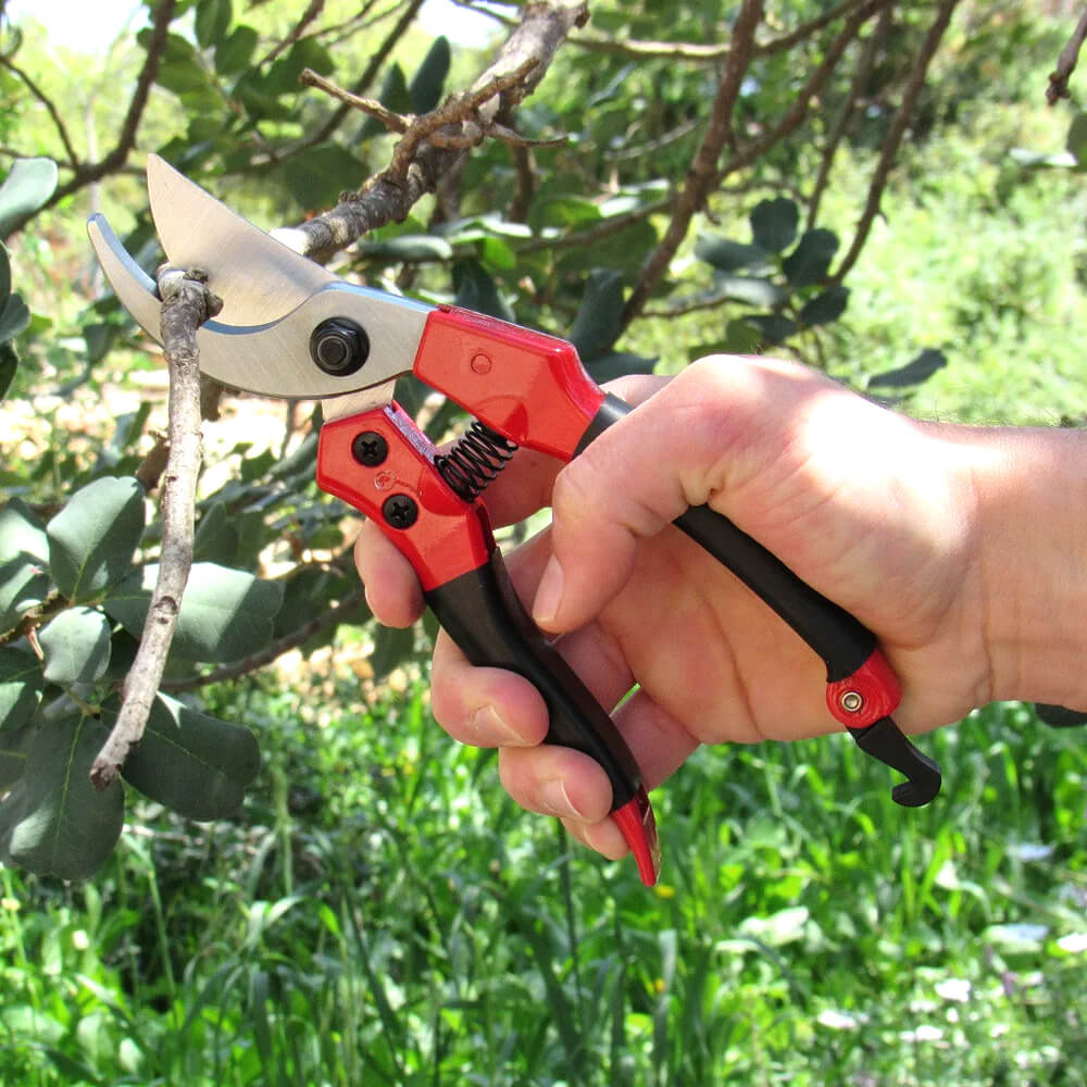 Pruning & Hand Tools