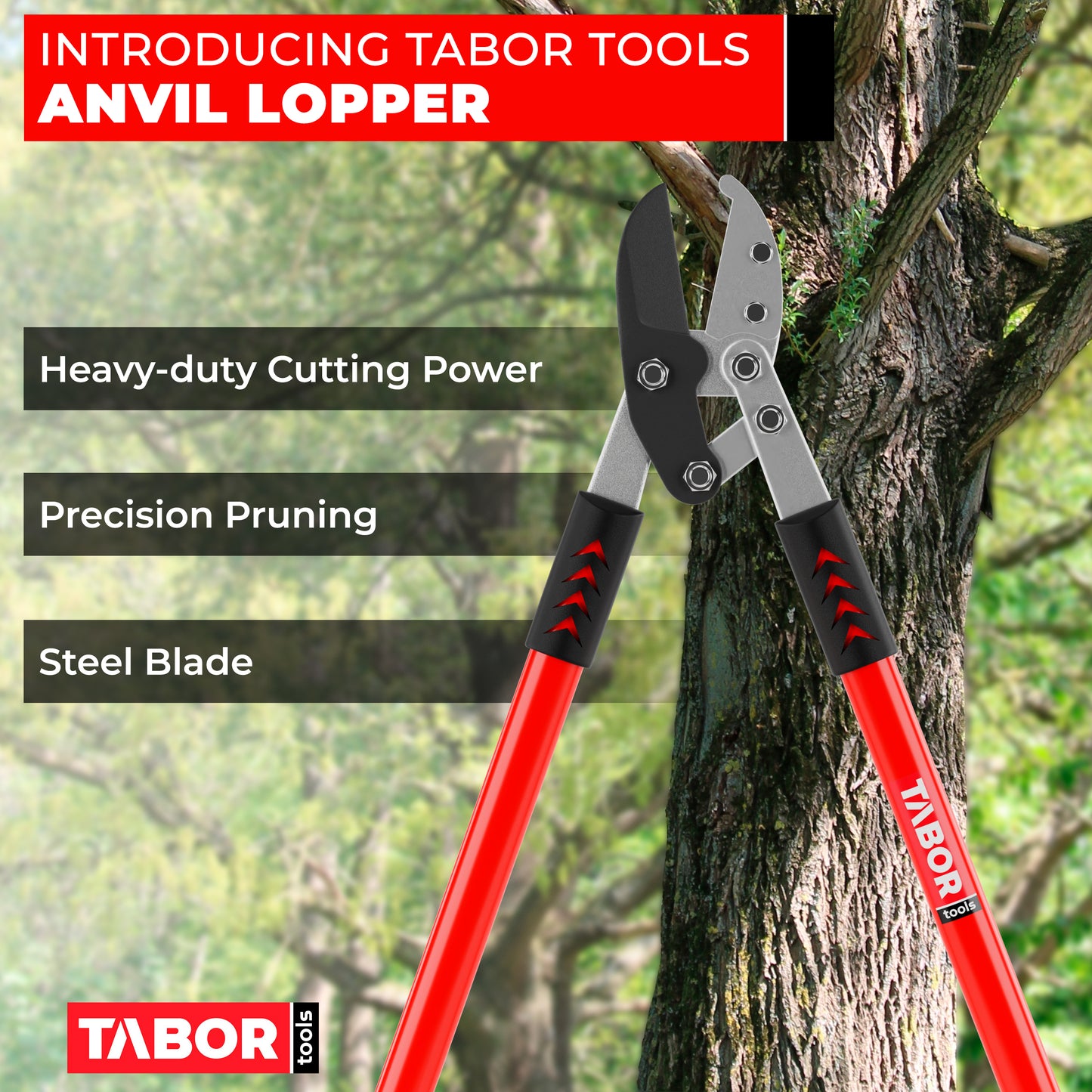 TABOR TOOLS GG12A Professional 30" Compound Action Anvil Lopper