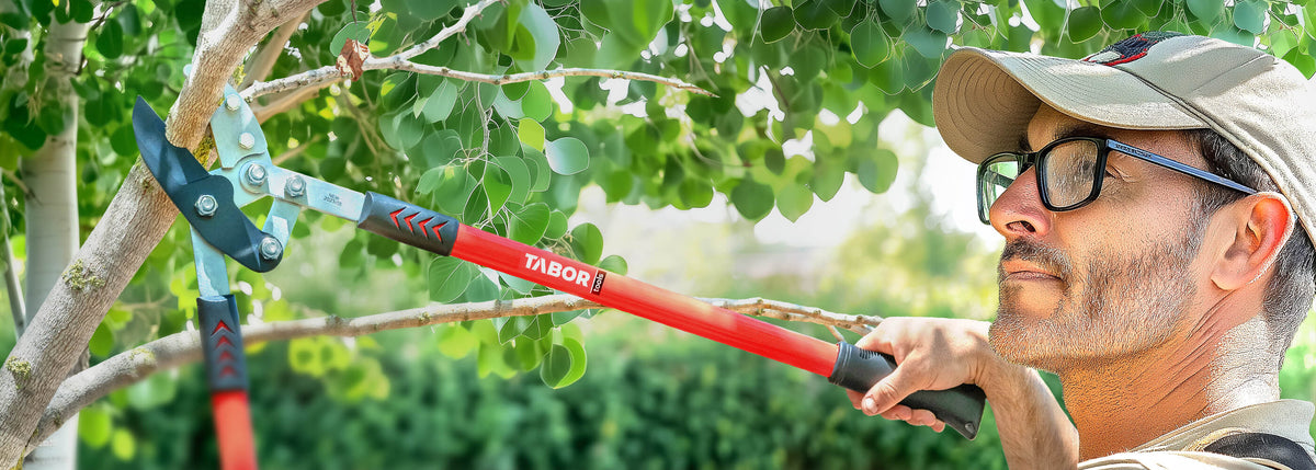 TABOR TOOLS - Shop Garden Tools Online