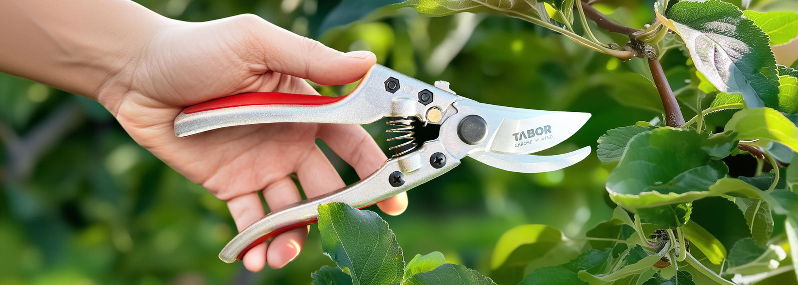 TABOR TOOLS - Shop Garden Tools Online