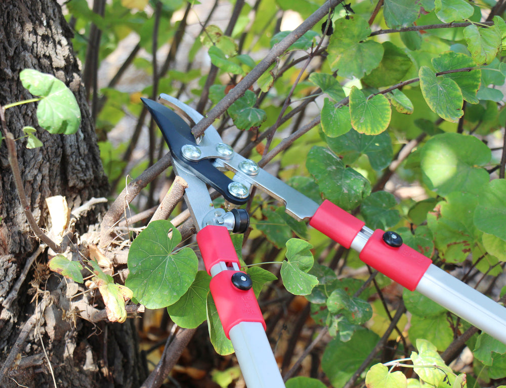 TABOR TOOLS GG21A Extendable Bypass Lopper with Compound Action, 27-40