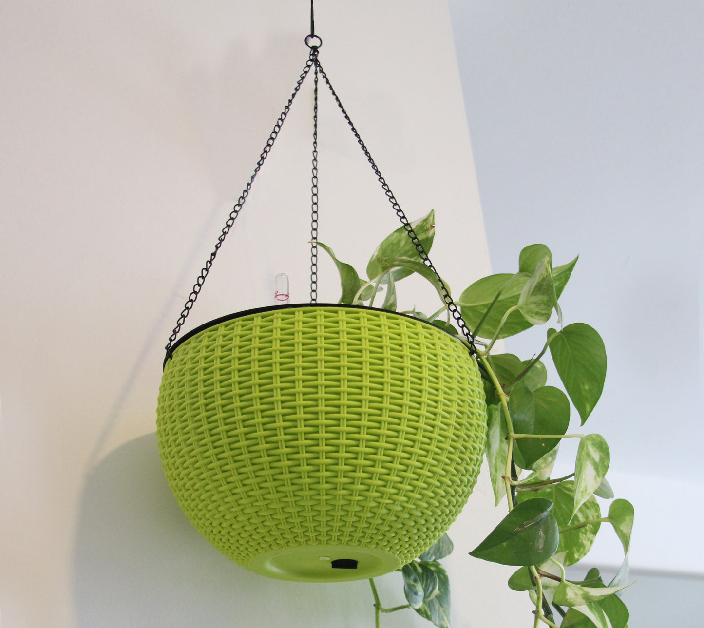 Rattan Hanging Planters (8 colors)