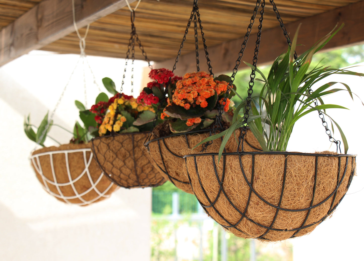 Coconut Hanging Planters, 2 Pack - 12 variations