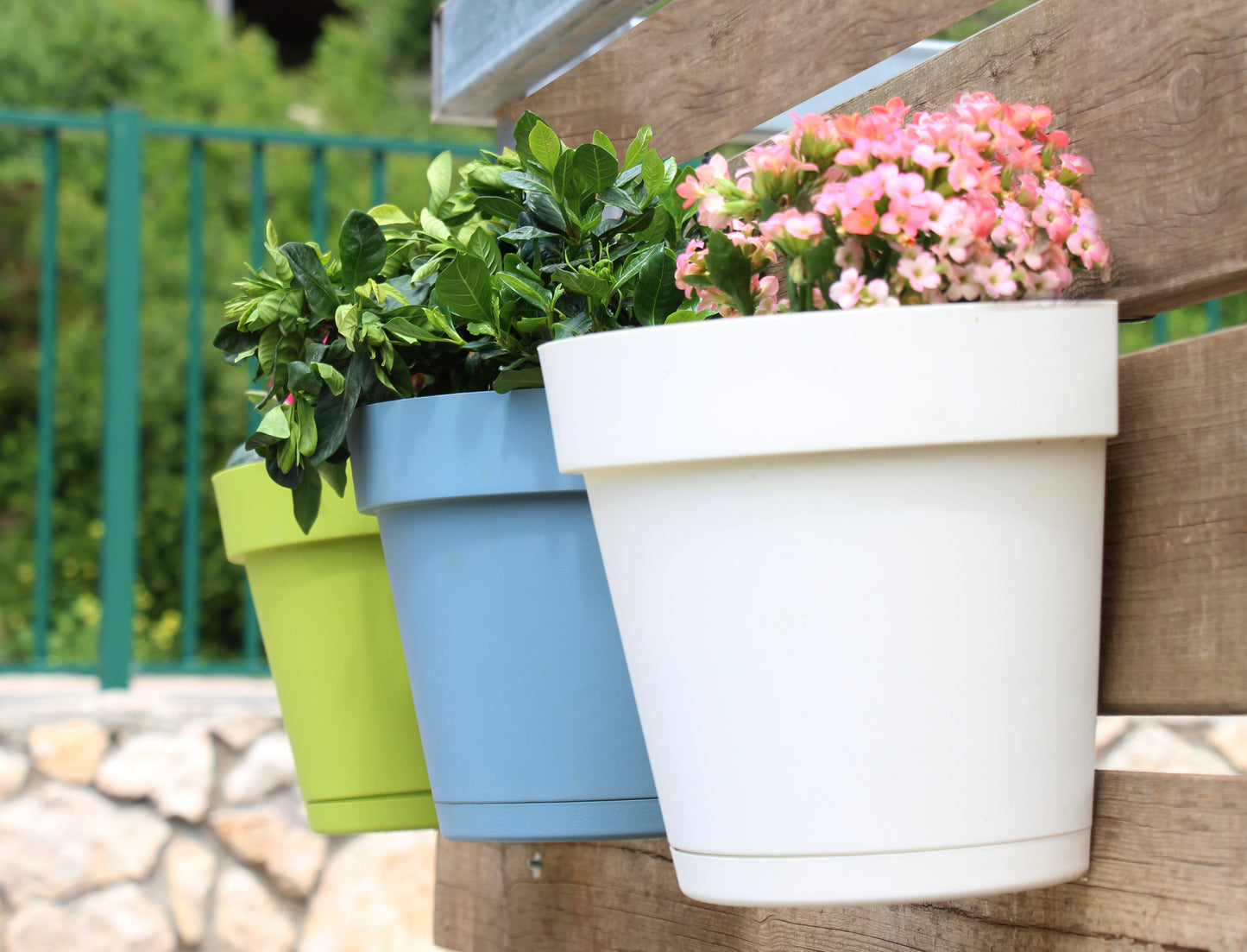 Plastic Wall Planters (8 colors)