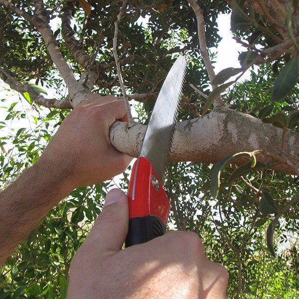 Tabor Tools Curved  Pruning Saw 