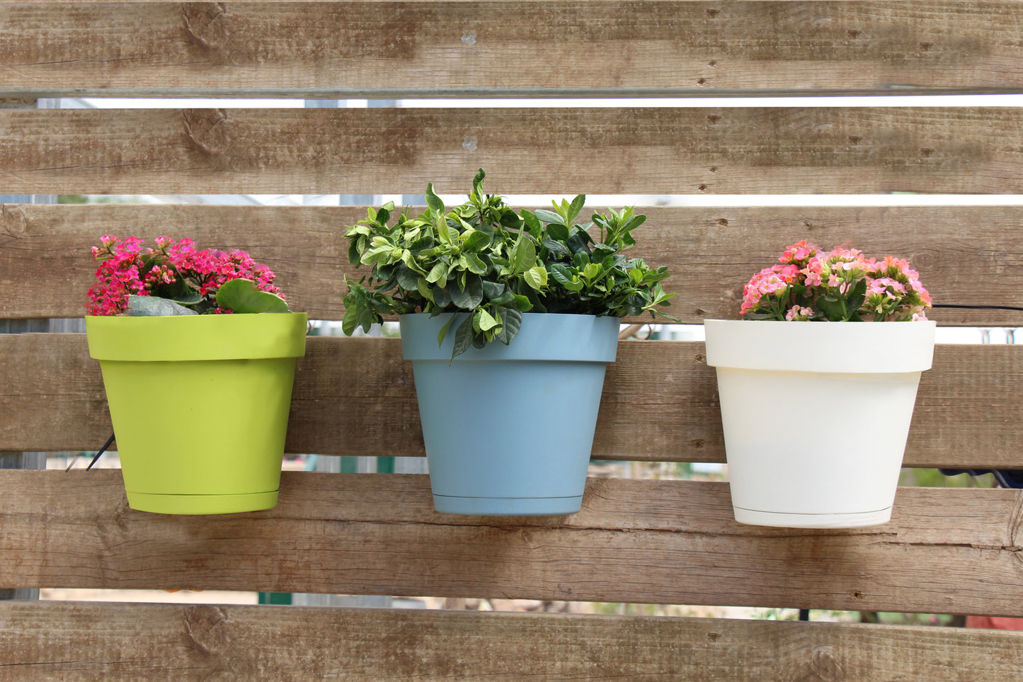 Plastic Wall Planters (8 colors)