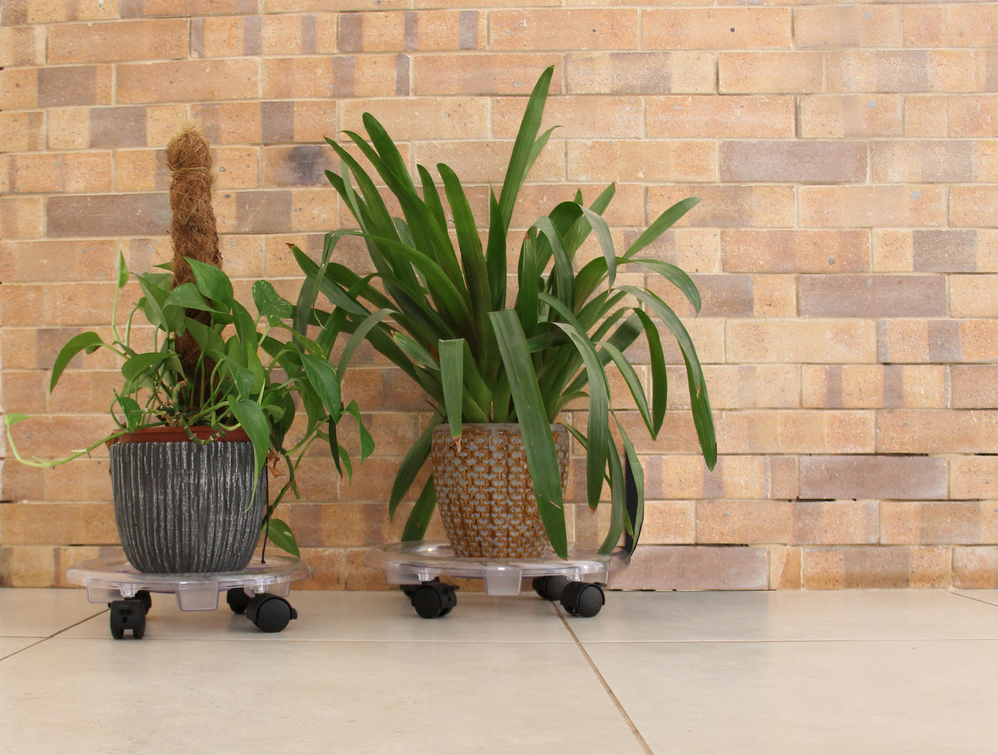 Round Planter Caddy (3 Sizes)