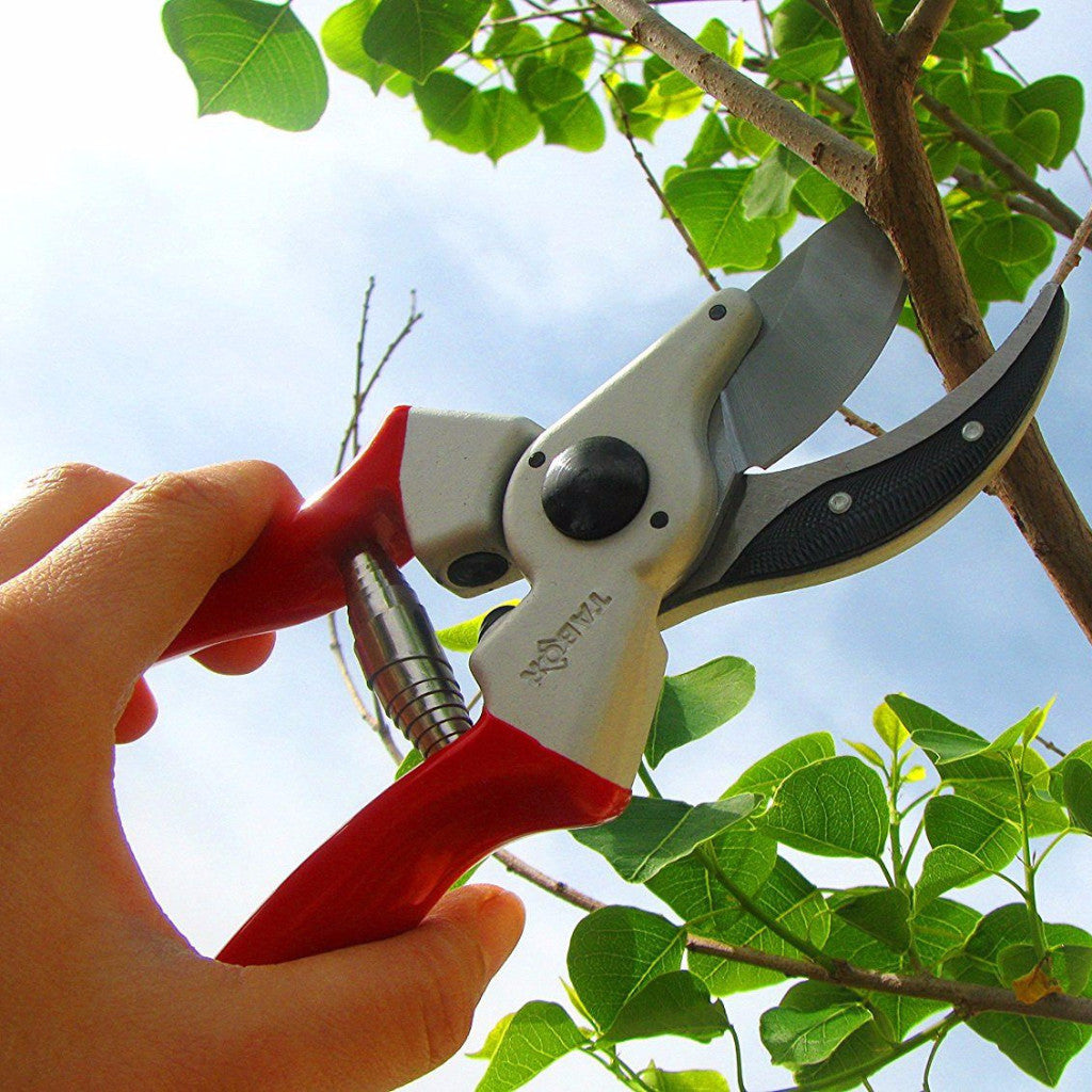 Tabor deals pruning shears