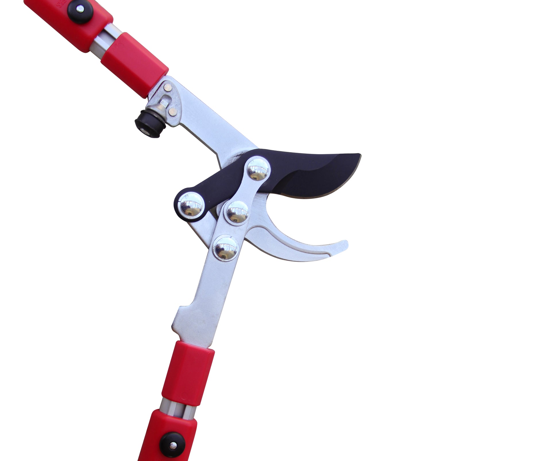 Wolf Garten Telescopic Anvil loppers review - Pruning - Tools