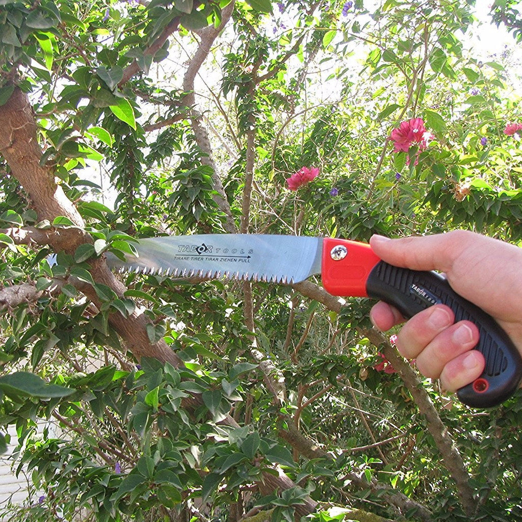 Tabor Tools Pruning Saw With Sheath