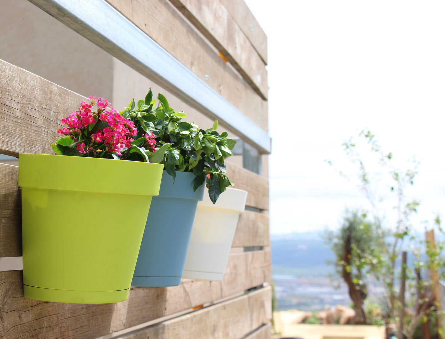 Plastic Wall Planters (8 colors)