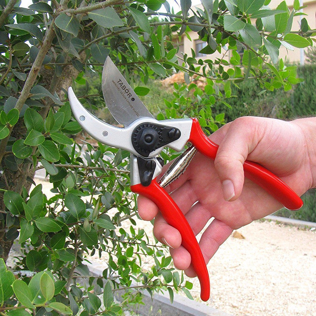 Tabor deals pruning shears