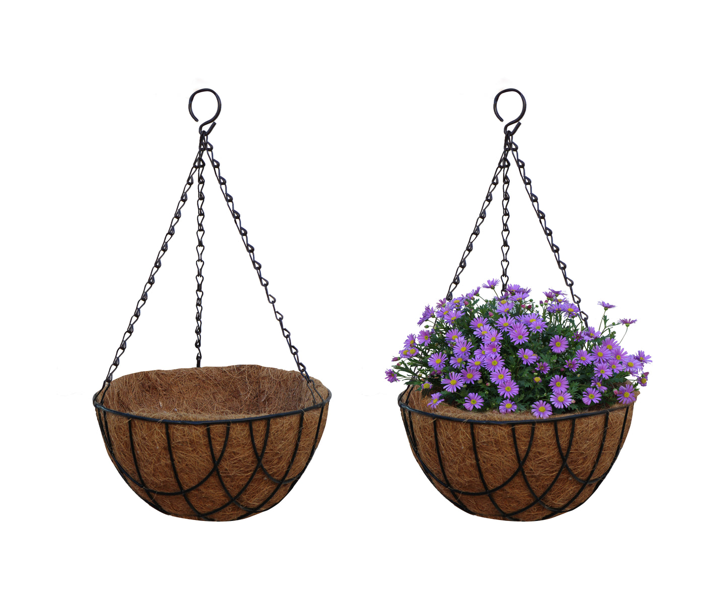 Coconut Hanging Planters, 2 Pack - 12 variations