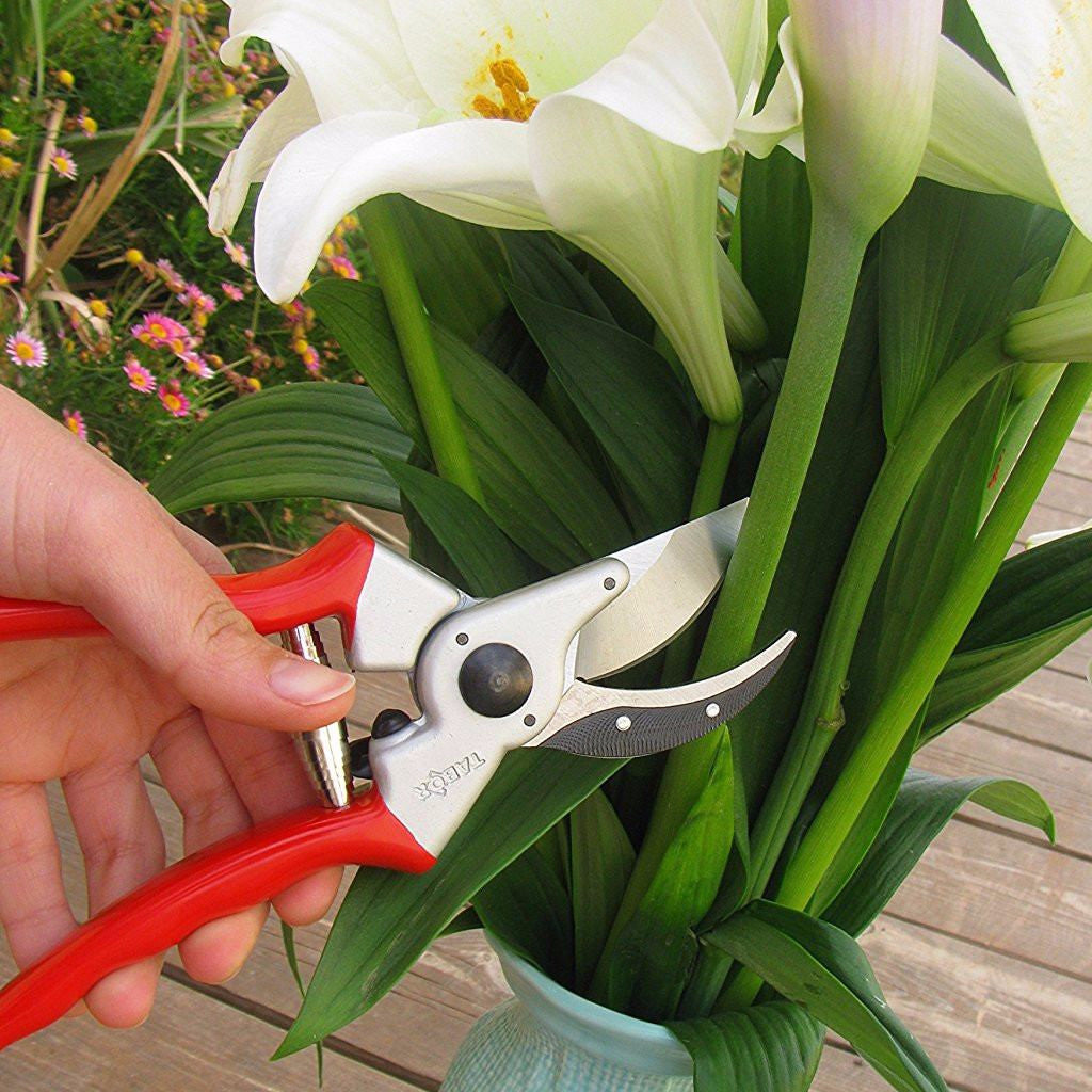 Tabor Tools S3 Classic Pruning Shears - Based on Felco 2