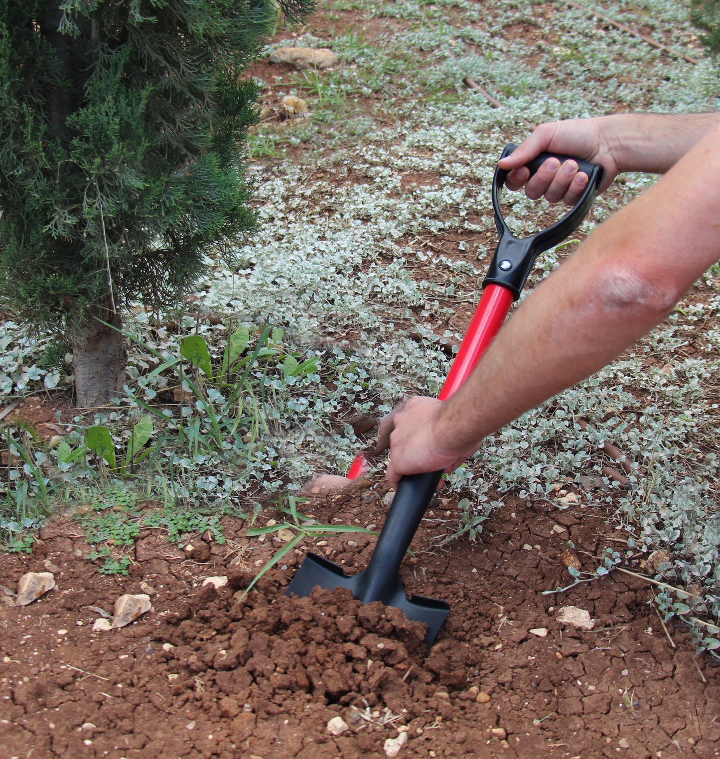 TABOR TOOLS J211  Mini Trunk Digging Spade