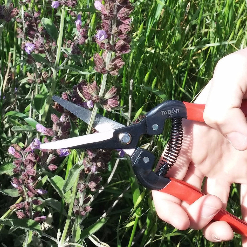 trimming scissors garden TABOR TOOLS K7A Straight Pruning and Trimming Scissors