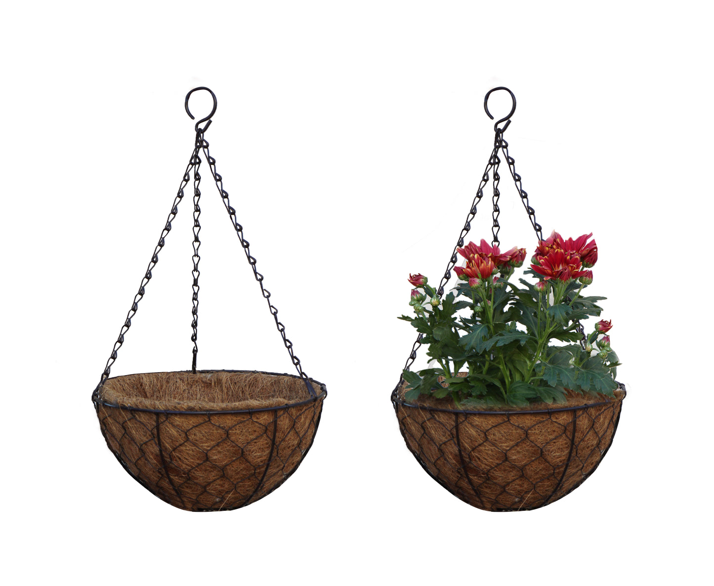 Coconut Hanging Planters, 2 Pack - 12 variations