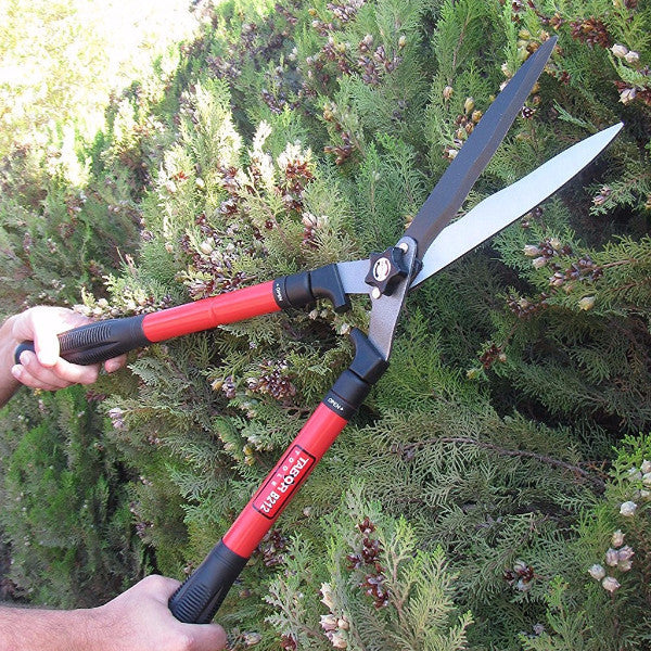 Extendable hedge store shears