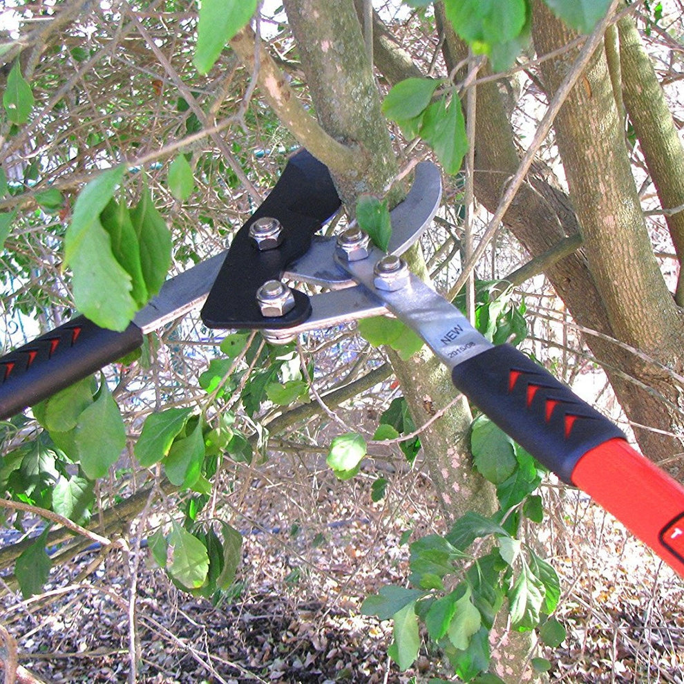 TABOR TOOLS GG11A Professional 30" Compound Action Bypass Lopper