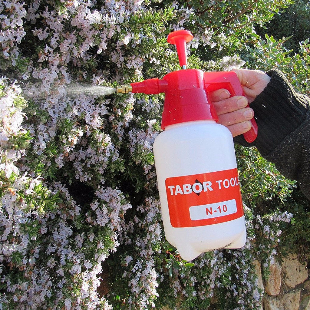 small garden pressure sprayer TABOR TOOLS Small Garden Sprayer (0.3 Gallon)