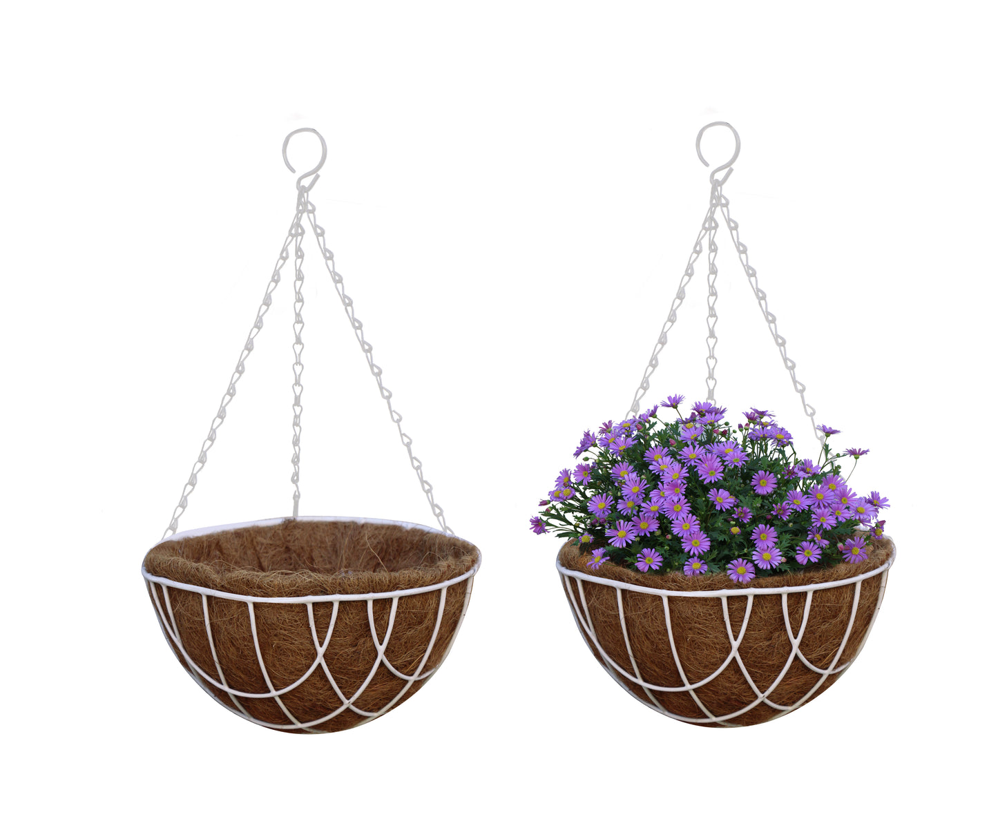 Coconut Hanging Planters, 2 Pack - 12 variations