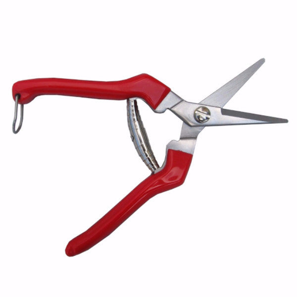 Tabor Tools K-77 Stainless Steel Straight Pruning Scissors