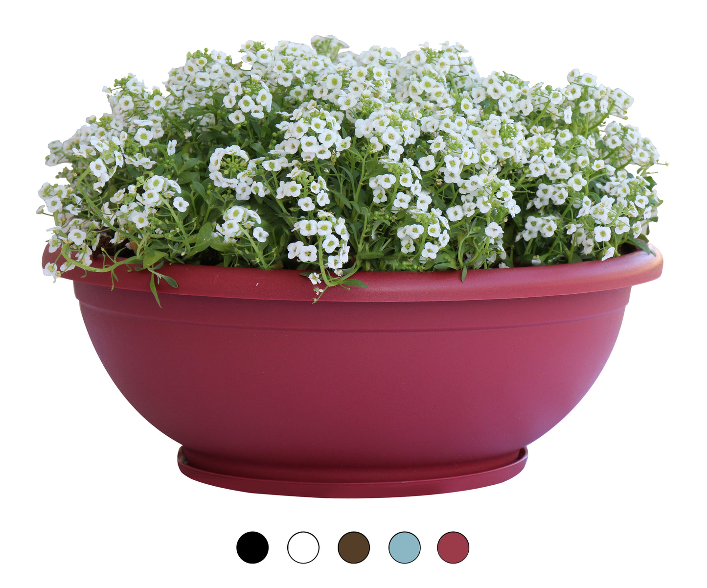 Plastic Bowl Planters (8 colors)