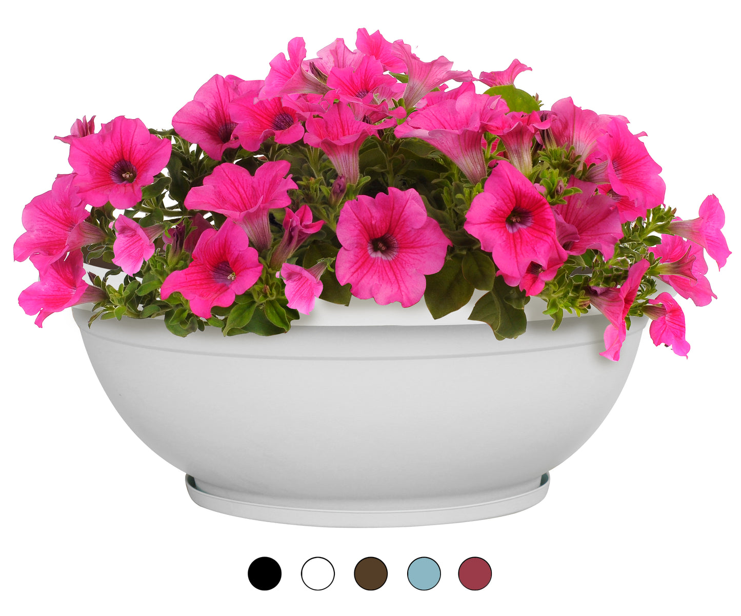 Plastic Bowl Planters (8 colors)